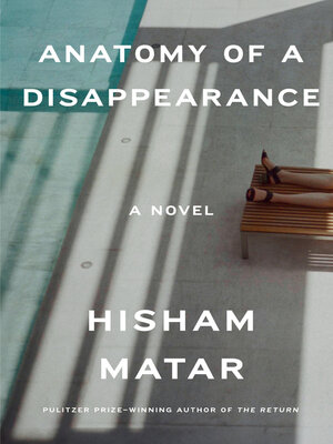 cover image of Anatomy of a Disappearance